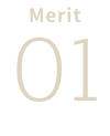 merit 01