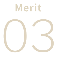 merit 03